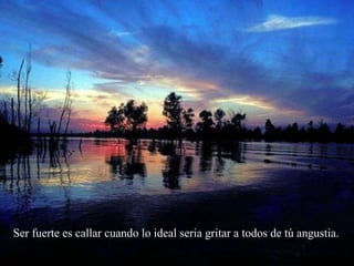 Ser fuerte es callar cuando lo ideal seria gritar a todos de tú angustia.   