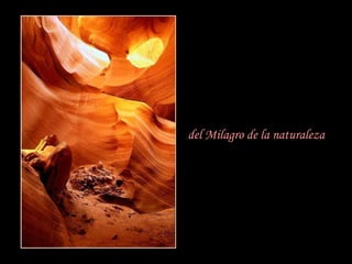 del Milagro de la naturaleza 