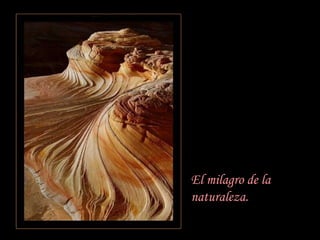 El milagro de la naturaleza.