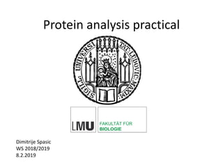 Protein analysis practical
Dimitrije Spasic
WS 2018/2019
8.2.2019
 