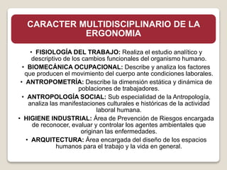 CARACTER MULTIDISCIPLINARIO DE LA
ERGONOMIA
• FISIOLOGÍA DEL TRABAJO: Realiza el estudio analítico y
descriptivo de los cambios funcionales del organismo humano.
• BIOMECÁNICA OCUPACIONAL: Describe y analiza los factores
que producen el movimiento del cuerpo ante condiciones laborales.
• ANTROPOMETRÍA: Describe la dimensión estática y dinámica de
poblaciones de trabajadores.
• ANTROPOLOGÍA SOCIAL: Sub especialidad de la Antropología,
analiza las manifestaciones culturales e históricas de la actividad
laboral humana.
• HIGIENE INDUSTRIAL: Área de Prevención de Riesgos encargada
de reconocer, evaluar y controlar los agentes ambientales que
originan las enfermedades.
• ARQUITECTURA: Área encargada del diseño de los espacios
humanos para el trabajo y la vida en general.
 