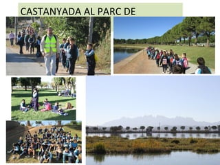 CASTANYADA AL PARC DE
L’AGULLA
 