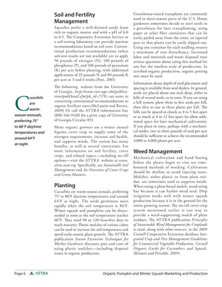 Page 6 ATTRA Organic Pumpkin and Winter Squash Marketing and Production
Greenhouse-raised transplants are commonly
used in short-season parts of the U.S. Home
gardeners sometimes decide to start seeds in
a greenhouse for later transplanting, using
paper or other fiber containers that can be
easily peeled away from the roots, or tapered
pots so that plants can be easily slipped out.
Using one container for each seedling ensures
a minimum of root disturbance. Increased
labor and materials and waste disposal raise
serious questions about using this method for
any but the smallest scale of production. In
certified organic production, organic potting
mix must be used.
Information about depth of seed placement and
spacing is available from seed dealers. In general,
seeds are placed about one inch deep, either in
hills of several seeds, or in rows. If you are using
a hill system, plant three to five seeds per hill,
then thin to one to three plants per hill. The
hills can be spaced as closely as 4 to 5 feet apart
or as much as 8 to 12 feet apart (to allow addi-
tional space for later mechanical cultivation).
If you plant in rows, perhaps with a mechani-
cal seeder, two to three pounds of seed per acre
should be sufficient to achieve the recommended
3,000 to 4,000 plants per acre.
Weed Management
Mechanical cultivation and hand hoeing
before the plants begin to vine are time-
honored methods of weeding. Cultivation
should be shallow to avoid injuring roots.
Mulches, either plastic or from plant resi-
due, are sometimes used to suppress weeds.
When using a plant-based mulch, avoid using
hay because it can harbor weed seed. Drip
irrigation works well with winter squash
production because it is in the ground for the
entire growing season. The no-till cover-crop
system mentioned earlier is one way to
provide a weed-suppressing mulch of plant
residues. The ATTRA publication Principles
of Sustainable Weed Management for Croplands
is cited, along with other sources, in the 2009
Cornell Cooperative Extension database Inte-
grated Crop and Pest Management Guidelines
for Commercial Vegetable Production: Cornell
Organic Guide for Cucumbers and Squash.
(Reiners and Petsoldt, 2009)
Soil and Fertility
Management
Squashes prefer a well-drained sandy loam
rich in organic matter and with a pH of 6.0
to 6.5. The Cooperative Extension Service or
a soil-testing laboratory can provide nutrient
recommendations based on soil tests. Conven-
tional production recommendations (when
soil-test results are not available) are to apply
50 pounds of nitrogen (N), 100 pounds of
phosphorus (P), and 100 pounds of potassium
(K) per acre before planting, with additional
applications of 25 pounds N and 80 pounds K
per acre at 3 and 6 weeks.(Peet, 2001)
The following website from the University
of Georgia, http://www.caes.uga.edu/publica-
tions/pubDetail.cfm?pk_id=7170, can assist in
converting conventional recommendations to
organic fertilizer rates.(McLaurin and Reeves,
2009) Or call the ATTRA information line
(800-346-9140) for a print copy of University
of Georgia Circular 853.
Many organic growers use a winter annual
legume cover crop to supply some of the
nitrogen requirements, increase soil health,
and suppress weeds. The system has many
benefits, as well as several constraints. For
more information on soil fertility, cover
crops, and related topics—including no-till
options—visit the ATTRA website at www.
attra.ncat.org. Specifically, see Sustainable Soil
Management and An Overview of Cover Crops
and Green Manures.
Planting
Cucurbits are warm-season annuals, preferring
75° to 86°F daytime temperatures and around
64°F at night. The seeds germinate most
rapidly when the soil temperature is 86°F.
Winter squash and pumpkins can be direct-
seeded as soon as the soil temperature reaches
60°F. They need 90 to 120 frost-free days to
reach maturity. Plastic mulches of various colors
can be used to increase the soil temperature and
speed early-season plant growth. The ATTRA
publication Season Extension Techniques for
Market Gardeners discusses pros and cons of
using plastic mulches—including disposal
issues in organic production.
C
ucurbits
are
warm-
season annuals,
preferring 75°
to 86°F daytime
temperatures and
around 64°F
at night.
 
