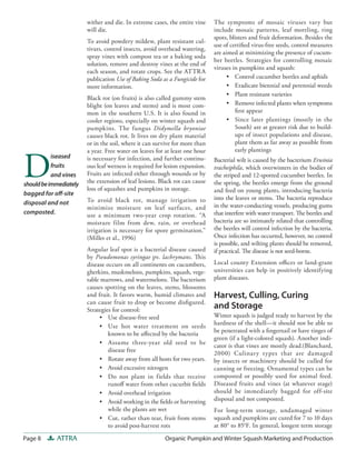 Page 8 ATTRA Organic Pumpkin and Winter Squash Marketing and Production
The symptoms of mosaic viruses vary but
include mosaic patterns, leaf mottling, ring
spots, blisters and fruit deformation. Besides the
use of certified virus-free seeds, control measures
are aimed at minimizing the presence of cucum-
ber beetles. Strategies for controlling mosaic
viruses in pumpkins and squash:
• Control cucumber beetles and aphids
• Eradicate biennial and perennial weeds
• Plant resistant varieties
• Remove infected plants when symptoms
first appear
• Since later plantings (mostly in the
South) are at greater risk due to build-
ups of insect populations and disease,
plant them as far away as possible from
early plantings
Bacterial wilt is caused by the bacterium Erwinia
tracheiphila, which overwinters in the bodies of
the striped and 12-spotted cucumber beetles. In
the spring, the beetles emerge from the ground
and feed on young plants, introducing bacteria
into the leaves or stems. The bacteria reproduce
in the water-conducting vessels, producing gums
that interfere with water transport. The beetles and
bacteria are so intimately related that controlling
the beetles will control infection by the bacteria.
Once infection has occurred, however, no control
is possible, and wilting plants should be removed,
if practical. The disease is not seed-borne.
Local county Extension offices or land-grant
universities can help in positively identifying
plant diseases.
Harvest, Culling, Curing
and Storage
Winter squash is judged ready to harvest by the
hardness of the shell—it should not be able to
be penetrated with a fingernail or have tinges of
green (if a light-colored squash). Another indi-
cator is that vines are mostly dead.(Blanchard,
2000) Culinary types that are damaged
by insects or machinery should be culled for
canning or freezing. Ornamental types can be
composted or possibly used for animal feed.
Diseased fruits and vines (at whatever stage)
should be immediately bagged for off-site
disposal and not composted.
For long-term storage, undamaged winter
squash and pumpkins are cured for 7 to 10 days
at 80° to 85°F. In general, longest term storage
wither and die. In extreme cases, the entire vine
will die.
To avoid powdery mildew, plant resistant cul-
tivars, control insects, avoid overhead watering,
spray vines with compost tea or a baking soda
solution, remove and destroy vines at the end of
each season, and rotate crops. See the ATTRA
publication Use of Baking Soda as a Fungicide for
more information.
Black rot (on fruits) is also called gummy stem
blight (on leaves and stems) and is most com-
mon in the southern U.S. It is also found in
cooler regions, especially on winter squash and
pumpkins. The fungus Didymella bryoniae
causes black rot. It lives on dry plant material
or in the soil, where it can survive for more than
a year. Free water on leaves for at least one hour
is necessary for infection, and further continu-
ous leaf wetness is required for lesion expansion.
Fruits are infected either through wounds or by
the extension of leaf lesions. Black rot can cause
loss of squashes and pumpkins in storage.
To avoid black rot, manage irrigation to
minimize moisture on leaf surfaces, and
use a minimum two-year crop rotation. “A
moisture film from dew, rain, or overhead
irrigation is necessary for spore germination.”
(Miller et al., 1996)
Angular leaf spot is a bacterial disease caused
by Pseudomonas syringae pv. lachrymans. This
disease occurs on all continents on cucumbers,
gherkins, muskmelons, pumpkins, squash, vege-
table marrows, and watermelons. The bacterium
causes spotting on the leaves, stems, blossoms
and fruit. It favors warm, humid climates and
can cause fruit to drop or become disfigured.
Strategies for control:
• Use disease-free seed
• Use hot water treatment on seeds
known to be affected by the bacteria
• Assume three-year old seed to be
disease free
• Rotate away from all hosts for two years.
• Avoid excessive nitrogen
• Do not plant in fields that receive
runoff water from other cucurbit fields
• Avoid overhead irrigation
• Avoid working in the fields or harvesting
while the plants are wet
• Cut, rather than tear, fruit from stems
to avoid post-harvest rots
D
iseased
fruits
and vines
shouldbeimmediately
bagged for off-site
disposal and not
composted.
 