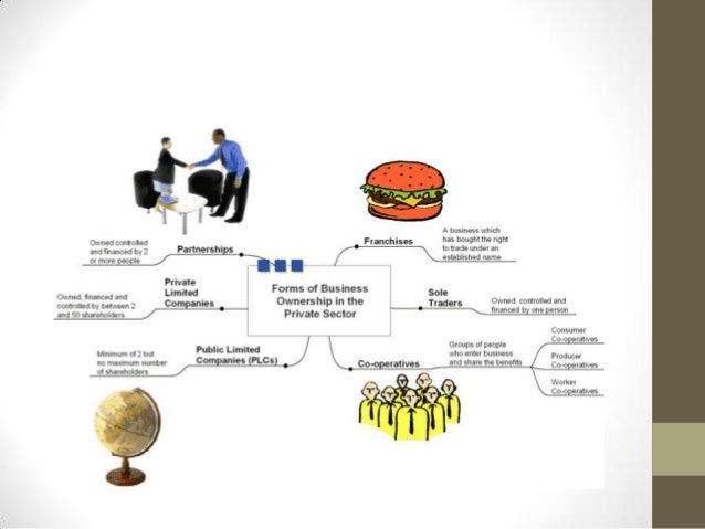 Grade 8 ems case study forms of ownership picture