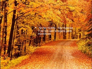 No hay muerte... hay mudanza.  Y del otro lado te espera gente maravillosa: 