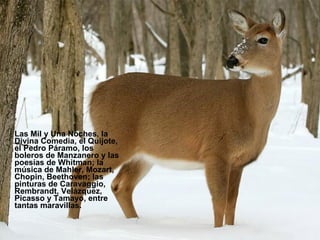 Las Mil y Una Noches, la Divina Comedia, el Quijote, el Pedro Páramo, los boleros de Manzanero y las poesías de Whitman; la música de Mahler, Mozart, Chopin, Beethoven; las  pinturas de Caravaggio, Rembrandt, Velázquez, Picasso y Tamayo, entre tantas maravillas.   