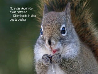 No estás deprimido,  estás distraído … …  Distraído de la vida que te puebla, 