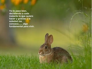 Yo lo paso bien, decidiendo a cada instante lo que quiero hacer y gracias a la soledad me conozco...... algo fundamental para vivir.  