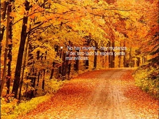• No hay muerte... hay mudanza.
Y del otro lado te espera gente
maravillosa:
 