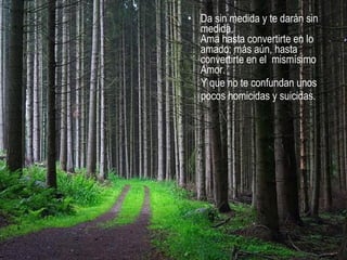• Da sin medida y te darán sin
medida.
Ama hasta convertirte en lo
amado; más aún, hasta
convertirte en el mismísimo
Amor.
Y que no te confundan unos
pocos homicidas y suicidas.
 