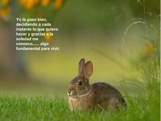 Yo lo paso bien,
decidiendo a cada
instante lo que quiero
hacer y gracias a la
soledad me
conozco...... algo
fundamental para vivir.
 