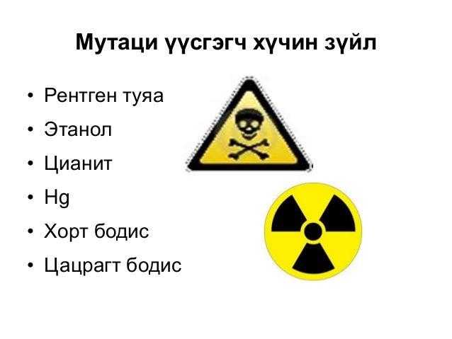 19-р сургууль багш Б.Хүрэлцоож 11 анги биологи хичээл мутаци