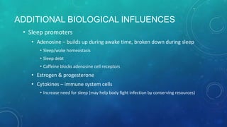 ADDITIONAL BIOLOGICAL INFLUENCES
• Sleep promoters
• Adenosine – builds up during awake time, broken down during sleep
• Sleep/wake homeostasis
• Sleep debt
• Caffeine blocks adenosine cell receptors
• Estrogen & progesterone
• Cytokines – immune system cells
• Increase need for sleep (may help body fight infection by conserving resources)
 